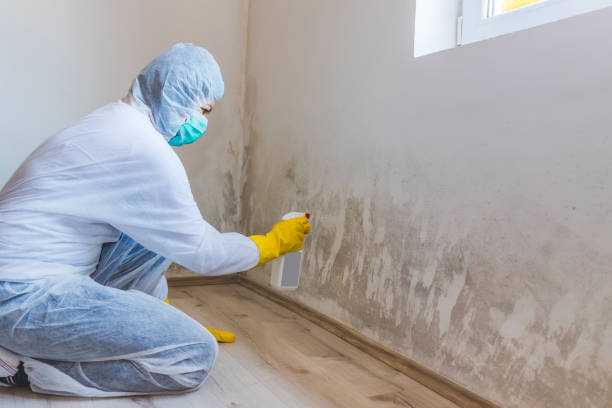Hvac And Air Duct Mold Remediation inspection of HVAC system in Crownsville