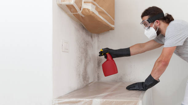 Attic Mold Remediation treatment on roof deck in Crownsville